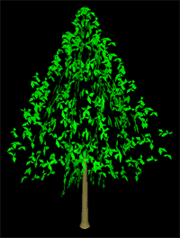 3D Tree