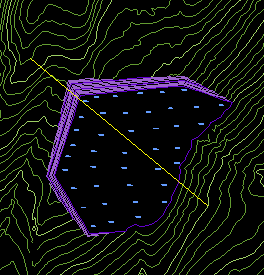 Section Line