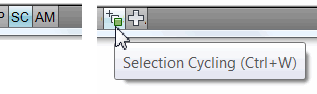 Selection Cycling toggle