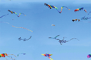 Kites