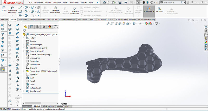 Bone half with infill structure.jpg