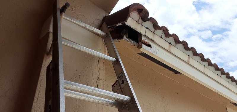 Damaged Fascia.jpg.jpeg