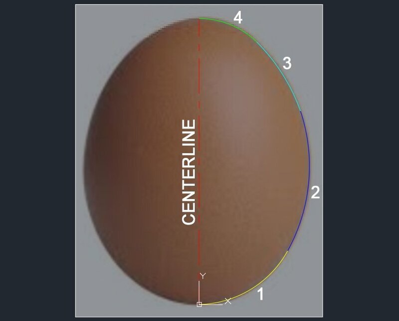 Egg.jpg