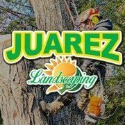 juarezlandscapingservices